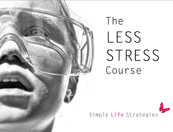 Free LESS STRESS Course (a reminder)