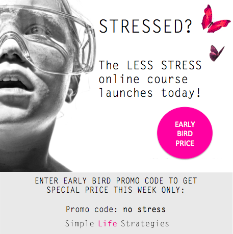 Exclusive LESS STRESS E-Course Opportunity