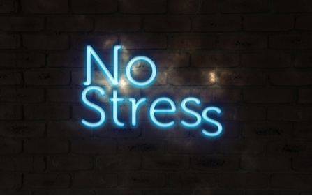 How to Live Stress Free