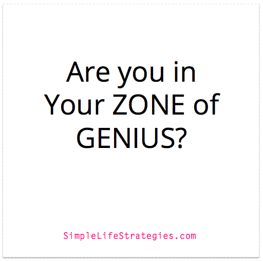 zone of genius